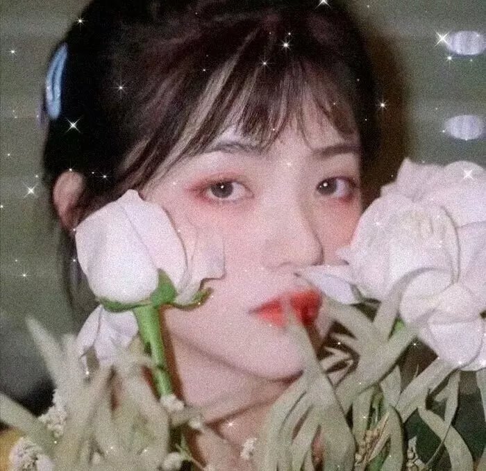 暗影王冠